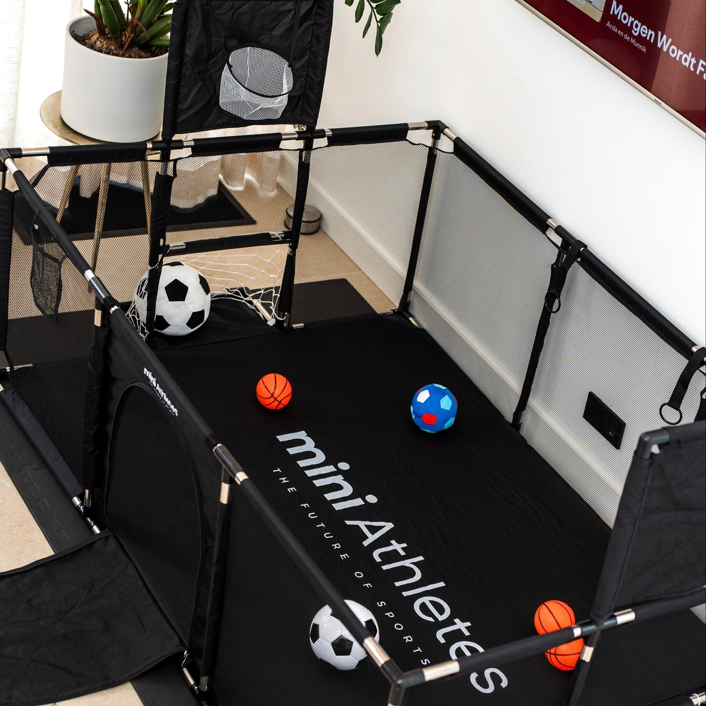 Sport Box 2