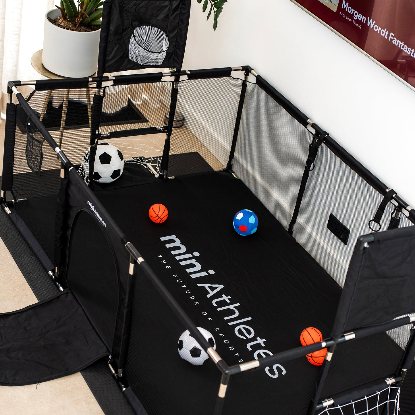 Inflatable Soccerball